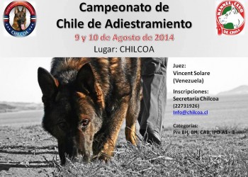 afiche ipo