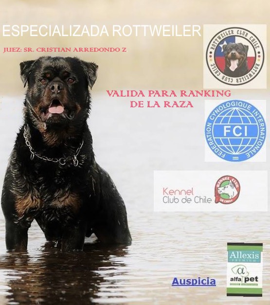 ESPECIALIZADA ROTTWEILER. 29 DE JULIO 2017
