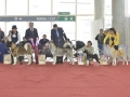 GDD (169)_preview