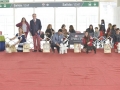 GDD (292)_preview