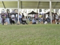 GDD (331)_preview