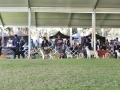 GDD (362)_preview