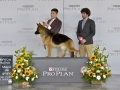 _DSC4418_preview (1)