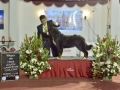 DSC2011_preview
