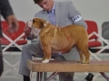 IDS (10).JPG