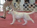 IDS (131).JPG