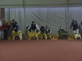 IGD (398)_preview
