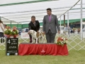 DSC4914_preview