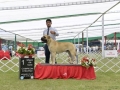 DSC4926_preview