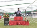 DSC4959_preview