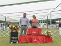 DSC5303_preview