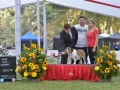 DSC7994_preview
