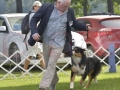 IDS (167)