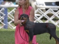 IDS (917)