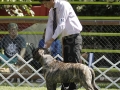 _92G3022 copia