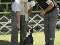 _92G3025 copia