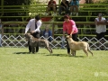 _92G3029 copia