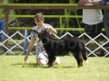 _92G3042 copia