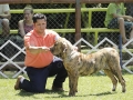 _92G3056 copia