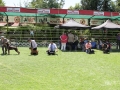 IMG_9262 copia