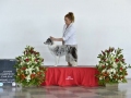 DSC4574_preview