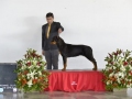 DSC4822_preview