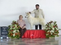 DSC5487_preview