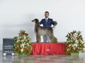 DSC5510_preview