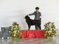 DSC5701_preview
