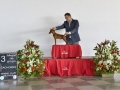 DSC5799_preview