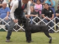 _MG_1021 copia_600x900