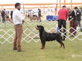 _MG_9656 copia_600x400