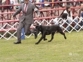 _MG_9704 copia_600x900