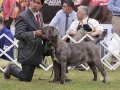_MG_9739 copia_600x900