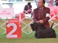 GDD (74)_preview