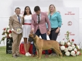 DSC0040_preview