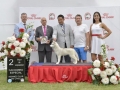 DSC0082_preview