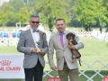 IGS (20)_preview