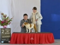 DSC3287_preview