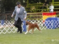 _92G9980 copia
