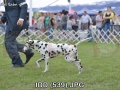 IDD (539)