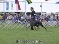 IDS (1333)