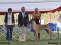 IPM (117)
