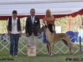 IPM (119)