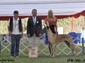 IPM (120)