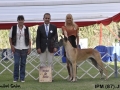 IPM (121)