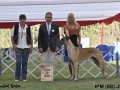 IPM (122)