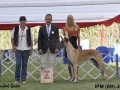 IPM (123)
