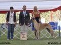 IPM (124)