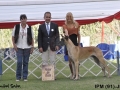 IPM (125)